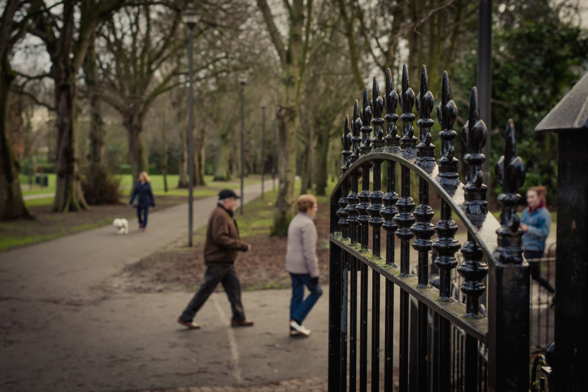 Dcu Glasnevin Hotel Dublin