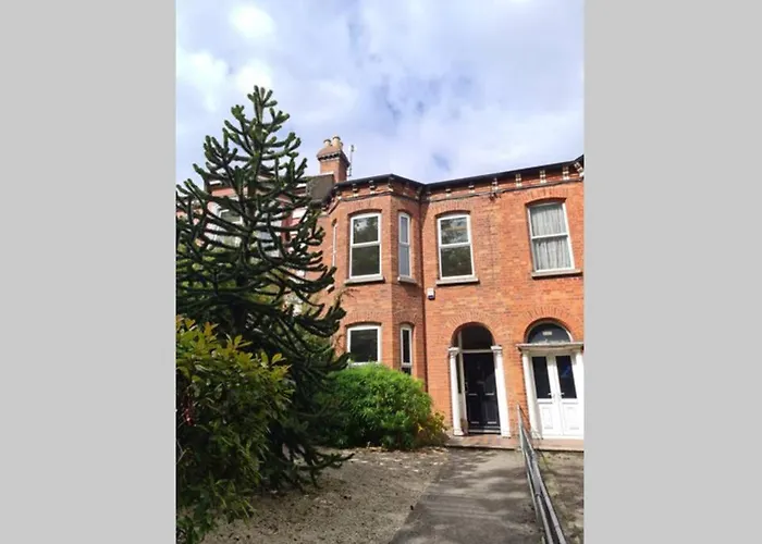 1 Bed Room Apartment