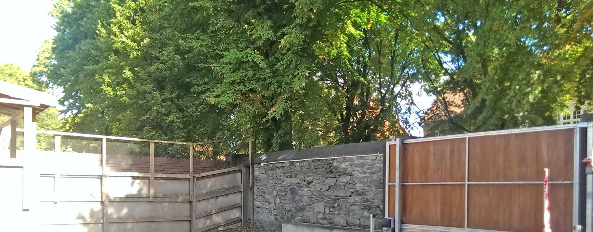 Morehampton Townhouse