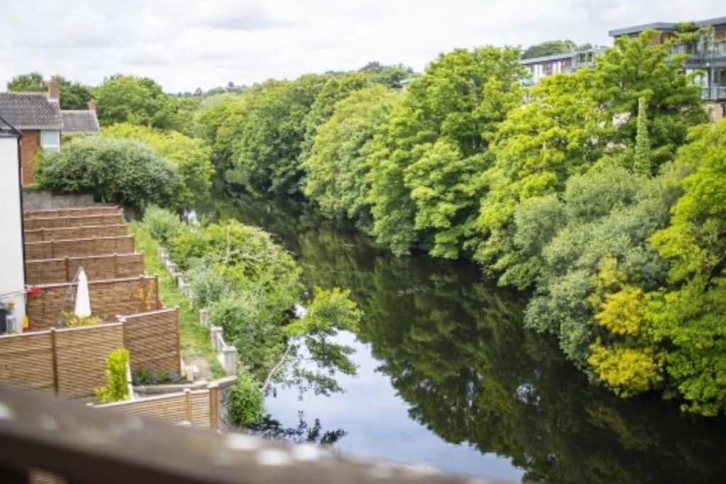 Serene Riverside - Hidden Gem In Villa Dublin