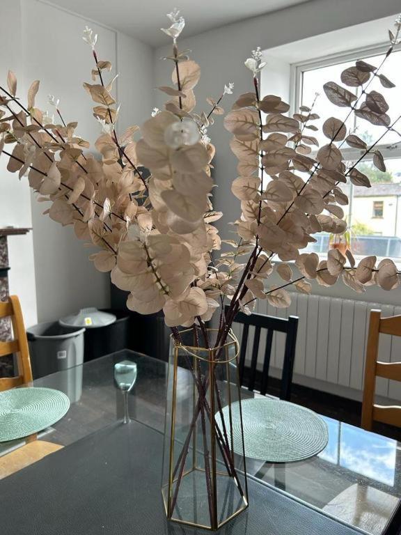 Guest house Sarsfield Dublin