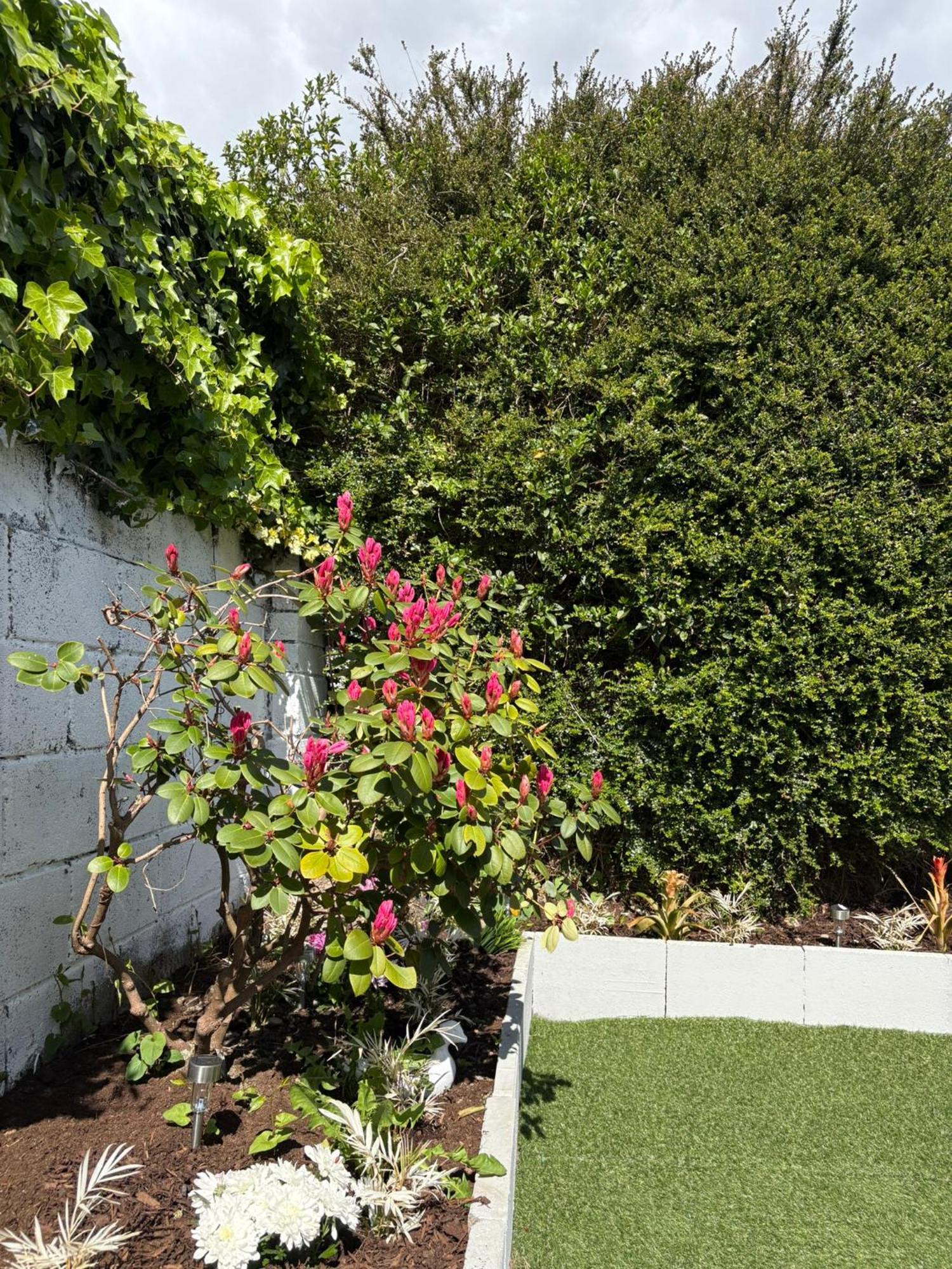 Superb Double Near Airport - 3 Guest house Dublin