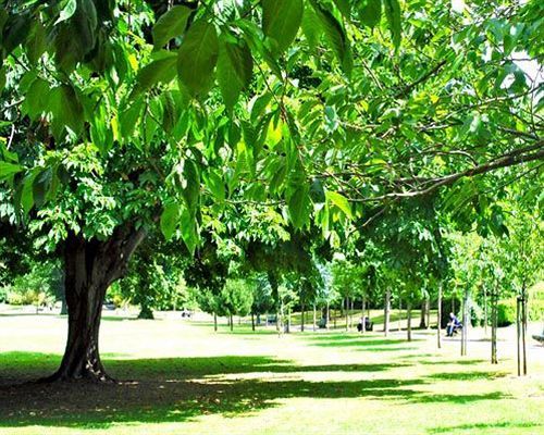 Hotel Morehampton Townhouse 3*