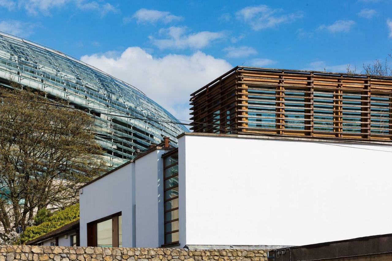 Modern Elegance, Steps From The Aviva! Cinema *