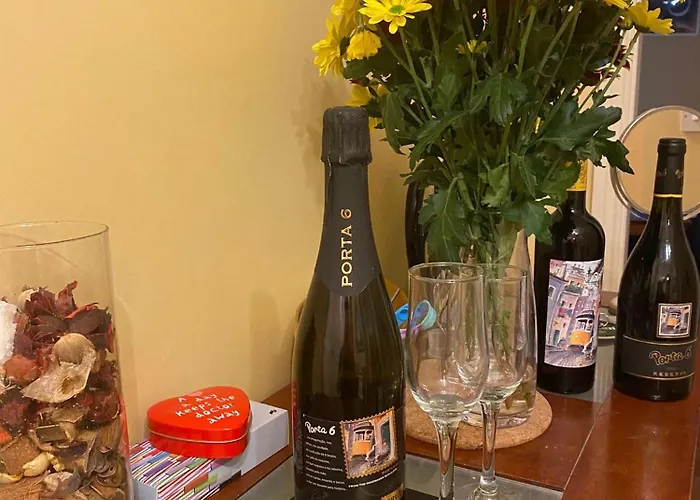 Comfy Apartment Near Dublin Airport With Free Parking