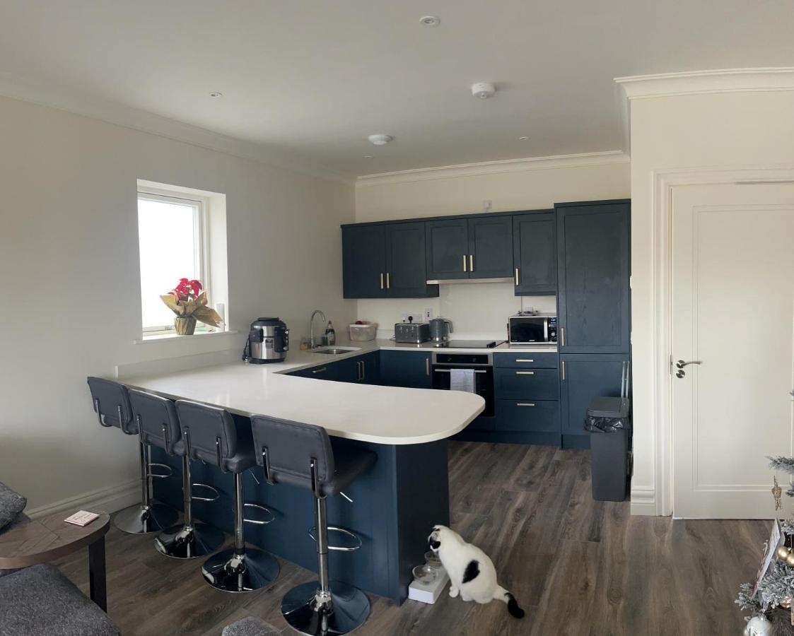 Homestay Bolton Grove House Dublin