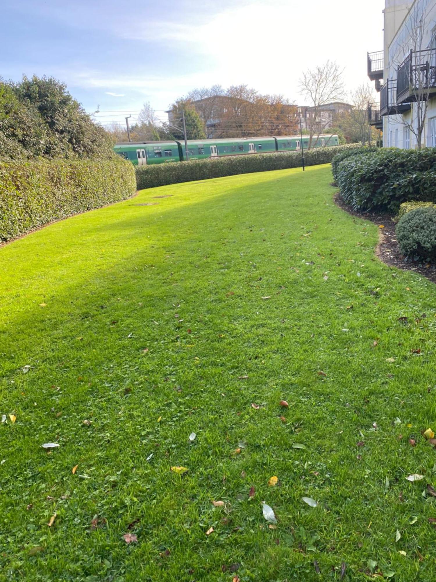 Comfy Near Airport With Free Parking