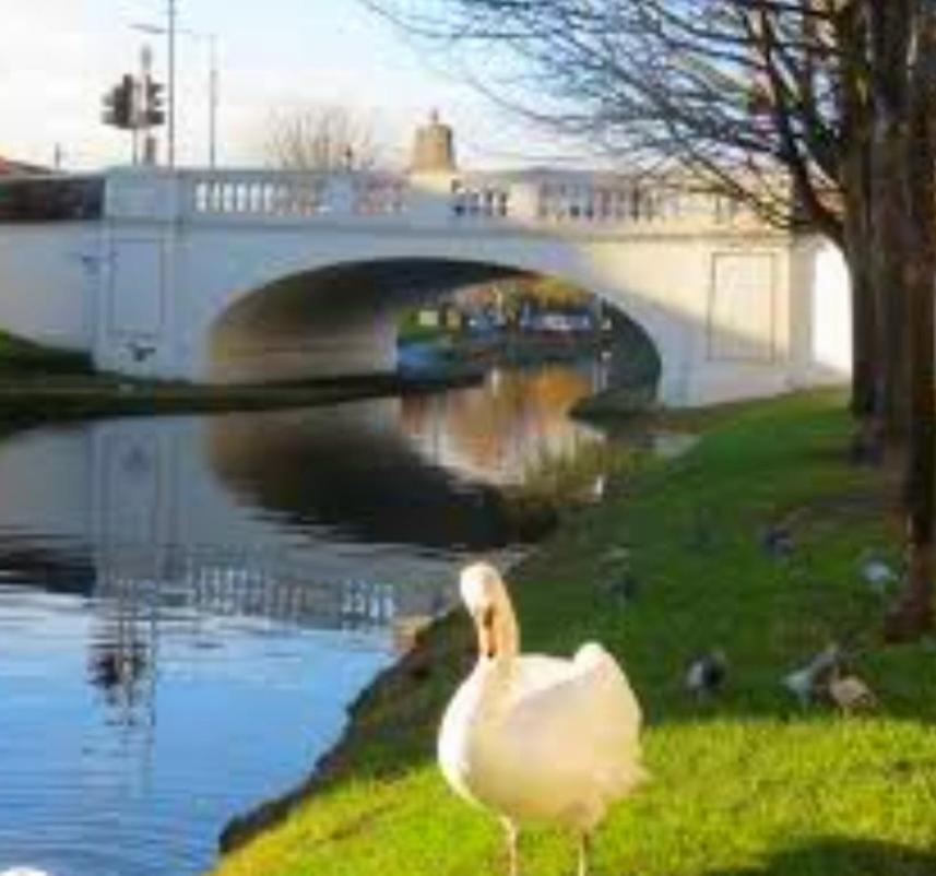 Accommodatie bij particulieren Dublin Room Dublin